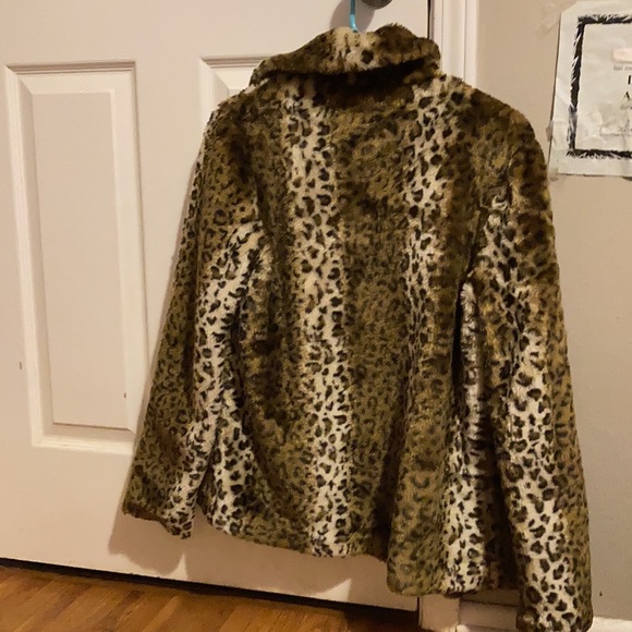 Jacket - Picture 4 of 4